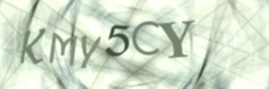 Please contact us form assistance if you are unable to view the CAPTCHA.