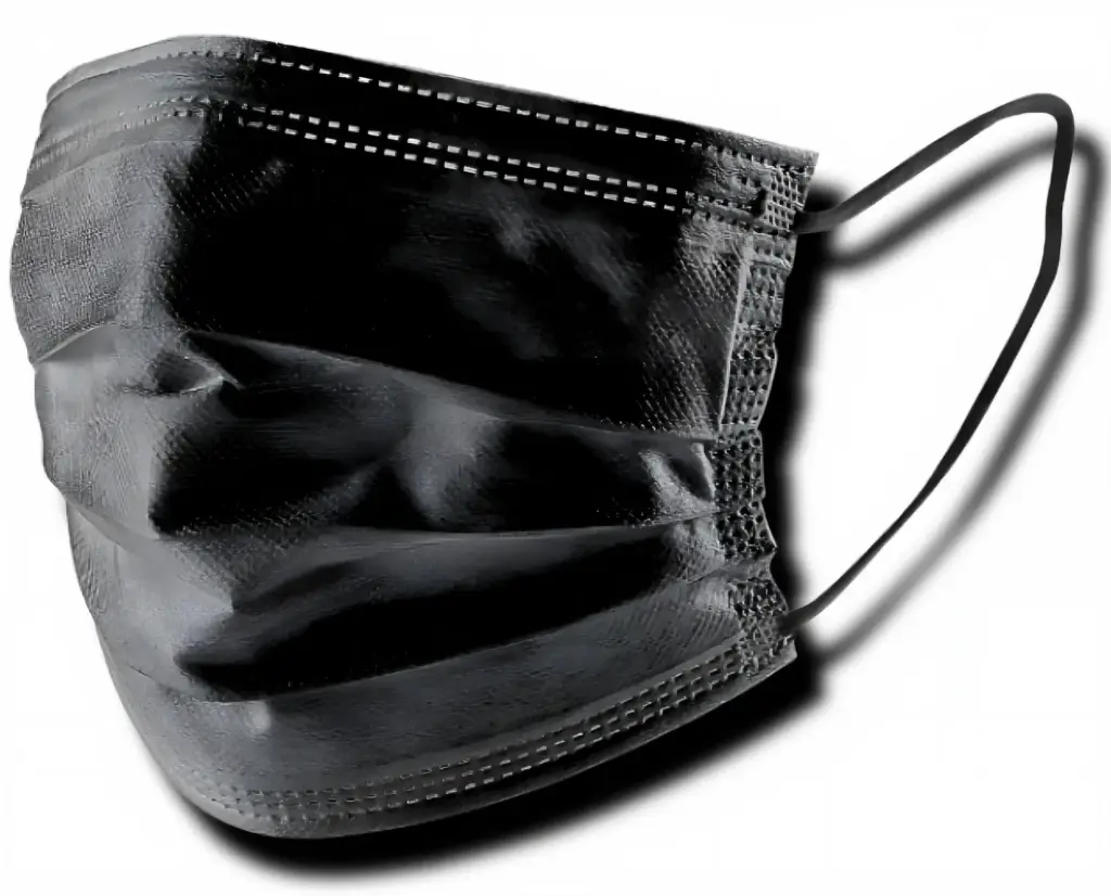 10 Pack Non Woven Mask